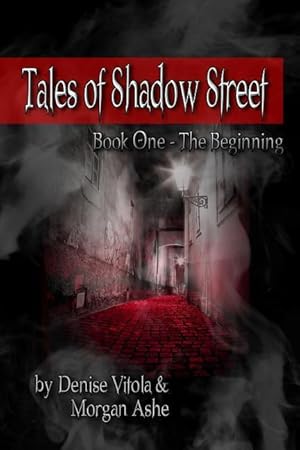 Bild des Verkufers fr Tales of Shadow Street: Book One The Beginning zum Verkauf von moluna