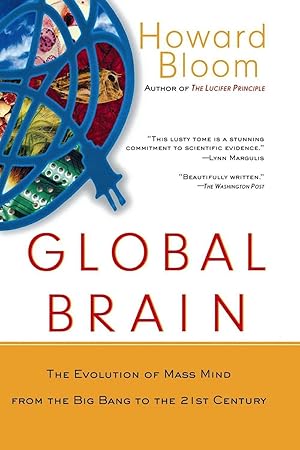 Bild des Verkufers fr Global Brain: The Evolution of Mass Mind from the Big Bang to the 21st Century zum Verkauf von moluna