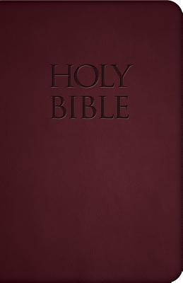 Bild des Verkufers fr Holy Bible-Nab zum Verkauf von moluna