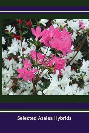 Bild des Verkufers fr Selected Azalea Hybrids zum Verkauf von moluna