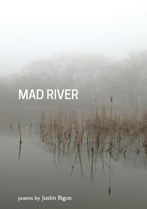 Bild des Verkufers fr Mad River zum Verkauf von moluna