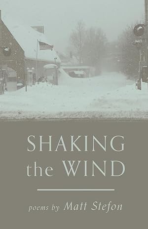 Seller image for Shaking the Wind for sale by moluna