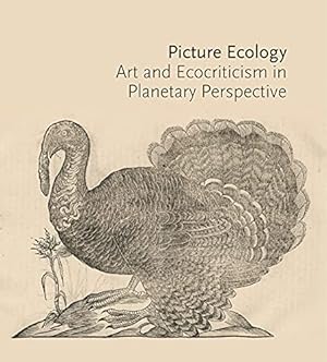 Seller image for Picture Ecology: Art and Ecocriticism in Planetary Perspective [Paperback ] for sale by booksXpress