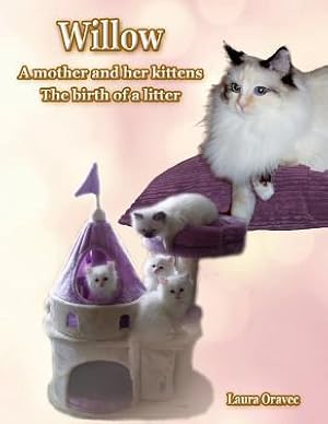 Seller image for Willow: A Mother and Her Kittens: The Birth of a Litter for sale by moluna