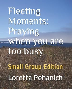 Bild des Verkufers fr Fleeting Moments: Praying when you are too busy: Small Group Edition zum Verkauf von moluna