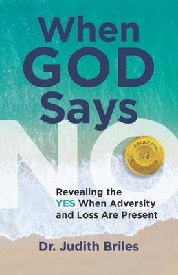 Bild des Verkufers fr When God Says NO: Revealing the YES When Adversity and Loss Are Present zum Verkauf von moluna