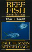 Bild des Verkufers fr Reef Fish Identification: Baja to Panama zum Verkauf von moluna