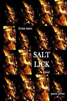 Bild des Verk�ufers f�r Salt Lick zum Verkauf von moluna