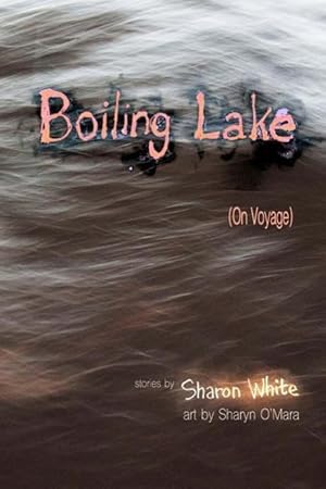 Bild des Verkufers fr Boiling Lake (On Voyage): very short stories (COLOR EDITION) zum Verkauf von moluna