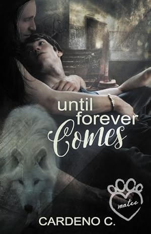 Seller image for Until Forever Comes for sale by moluna