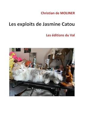Bild des Verkufers fr Les exploits de Jasmine Catou: Les ditions du Val zum Verkauf von moluna