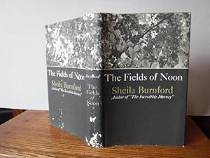 The Fields of Noon