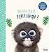 Seller image for Bonne nuit petit singe [FRENCH LANGUAGE - Hardcover ] for sale by booksXpress