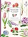 Seller image for Fleurs du jardin à colorier [FRENCH LANGUAGE - Hardcover ] for sale by booksXpress