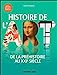 Seller image for Histoire de l'art: De la Préhistoire au XXI  siècle [FRENCH LANGUAGE - Soft Cover ] for sale by booksXpress