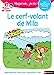 Seller image for Regarde je lis ! Une histoire à lire tout seul - Le cerf-volant de Mila Niv1 [FRENCH LANGUAGE - Soft Cover ] for sale by booksXpress