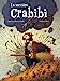 Seller image for La sorcière Crabibi [FRENCH LANGUAGE - Hardcover ] for sale by booksXpress