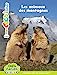 Image du vendeur pour Bioviva - Les animaux des montagnes [FRENCH LANGUAGE - Soft Cover ] mis en vente par booksXpress