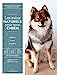Imagen del vendedor de Les soins naturels pour mon chien [FRENCH LANGUAGE - Soft Cover ] a la venta por booksXpress
