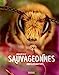 Image du vendeur pour Sauvageonnes: Abeilles natives [FRENCH LANGUAGE - Hardcover ] mis en vente par booksXpress