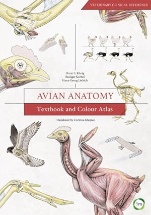 Image du vendeur pour Avian Anatomy : Textbook and Colour Atlas mis en vente par GreatBookPrices