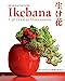 Seller image for Ikebana - L'art floral au fil des saison [FRENCH LANGUAGE - Hardcover ] for sale by booksXpress