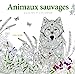 Bild des Verkufers fr Animaux sauvages - Dessins à colorier [Soft Cover ] zum Verkauf von booksXpress