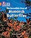 Seller image for The Incredible Lives of Monarch Butterflies: Band 06/Orange (Collins Big Cat Phonics for Letters and Sounds) [Soft Cover ] for sale by booksXpress