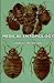 Seller image for Medical Entomology [Soft Cover ] for sale by booksXpress