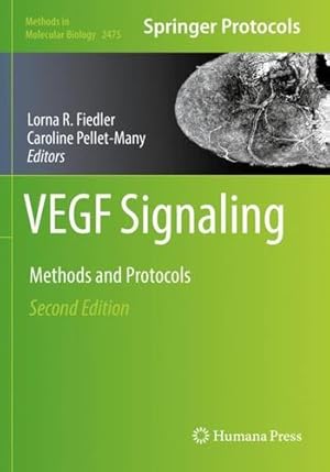 Immagine del venditore per VEGF Signaling: Methods and Protocols (Methods in Molecular Biology, 2475) [Paperback ] venduto da booksXpress