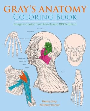 Seller image for Gray's Anatomy Coloring Book: Images to Color from the Classic 1860 Edition (Sirius Creative Coloring) by Gray, Henry, Carter, Henry [Paperback ] for sale by booksXpress