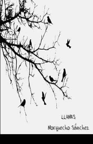 Seller image for Llamas (Spanish Edition) by Sanchéz, Morquecho [Paperback ] for sale by booksXpress