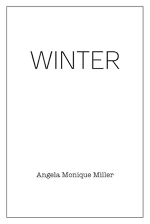 Seller image for Winter [Soft Cover ] for sale by booksXpress