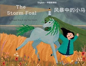 Seller image for The Storm Foal:   中   马 (Mandarin Chinese Edition) by Bray, Megsie, Hewitt, Lily [Paperback ] for sale by booksXpress