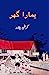 Immagine del venditore per Hamara Ghar: (Kids Novel) (Urdu Edition) [Soft Cover ] venduto da booksXpress