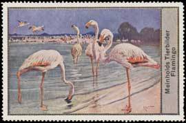 Seller image for Reklamemarke Flamingos for sale by Veikkos