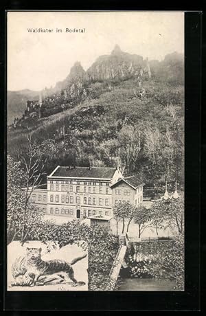 Ansichtskarte Thale, Hotel Waldkater im Bodetal