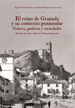 Imagen del vendedor de El reino de Granada y su contexto peninsular: guerra, poderes y sociedades a la venta por Midac, S.L.