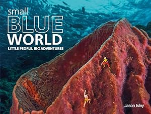 Imagen del vendedor de Small Blue World : Little People, Big Adventures a la venta por GreatBookPricesUK