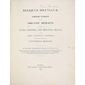 Seller image for Reliquiae Diluvianae; or, Observations on the Organic Remains Contained in Caves, Fissures, and Diluvial Gravel and on Other Geological Phenomena, Attesting the Action of an Universal Deluge. for sale by Bruce Marshall Rare Books