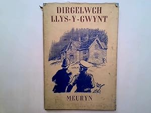 Imagen del vendedor de Dirgelwch llys y gwynt: Nofel dditectif i blant ysgol a la venta por Goldstone Rare Books