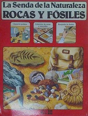 Seller image for Rocas y fsiles for sale by Almacen de los Libros Olvidados