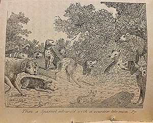 [EARLY AMERICAN ILLUSTRATIONS OF DOGS]. The Council of Dogs: illustrated with suitable engravings