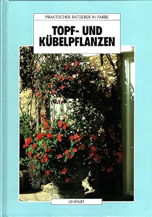 Imagen del vendedor de Topf- und Kbelpflanzen. / Praktischer Ratgeber in Farbe a la venta por Versandantiquariat Nussbaum