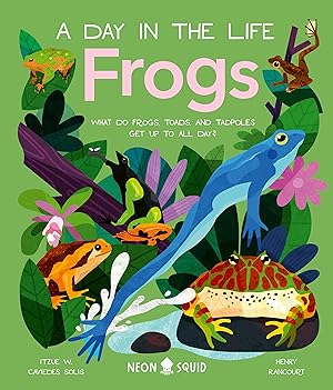 Bild des Verkufers fr Frogs (a Day in the Life): What Do Frogs, Toads, and Tadpoles Get Up to All Day? zum Verkauf von moluna