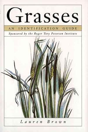 Seller image for Grasses : An Identification Guide for sale by GreatBookPrices