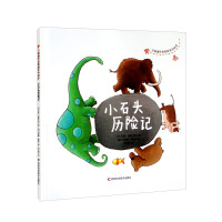 Immagine del venditore per The Mystery of the Cycle of All Things Picture Book Series - The Adventures of Little Stone(Chinese Edition) venduto da liu xing