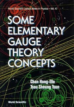 Immagine del venditore per Some Elementary Gauge Theory Concepts venduto da GreatBookPricesUK