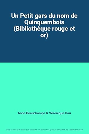 Seller image for Un Petit gars du nom de Quinquembois (Bibliothque rouge et or) for sale by Ammareal