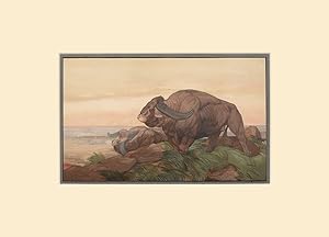 Seller image for The Return of the Buffalo Herd. From The Jungle Book by Rudyard Kipling. for sale by Peter Harrington.  ABA/ ILAB.